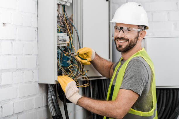 Best Electric Panel Repair  in Willowick, OH